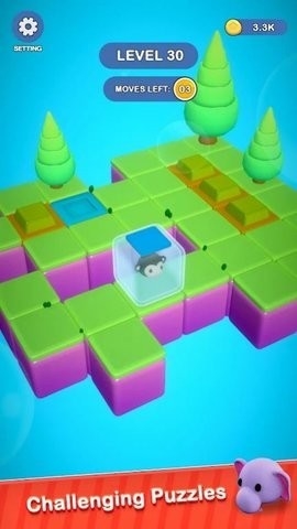 猫猫迷宫冒险-游戏截图3
